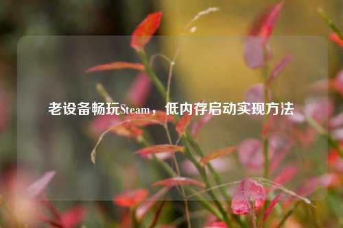 老设备畅玩Steam，低内存启动实现方法