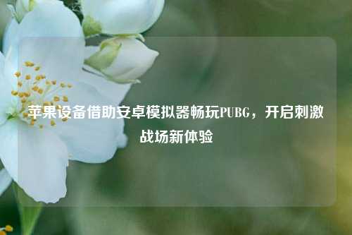 苹果设备借助安卓模拟器畅玩PUBG,开启刺激战场新体验