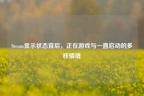 Steam显示状态背后,正在游戏与一直启动的多样情境