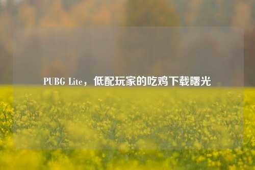 PUBG Lite，低配玩家的吃鸡下载曙光