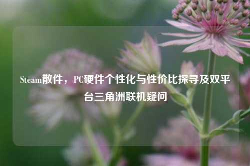 Steam散件,PC硬件个性化与性价比探寻及双平台三角洲联机疑问