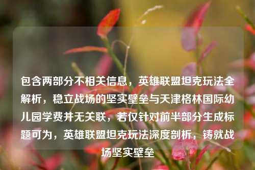 包含两部分不相关信息,英雄联盟坦克玩法全解析,稳立战场的坚实壁垒与天津格林国际幼儿园学费并无关联,若仅针对前半部分生成标题可为,英雄联盟坦克玩法深度剖析,铸就战场坚实壁垒