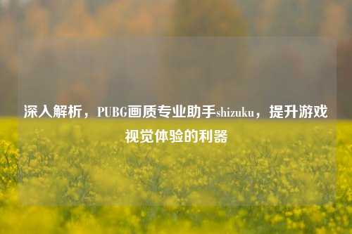 深入解析,PUBG画质专业助手shizuku,提升游戏视觉体验的利器