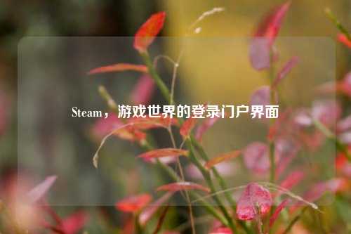 Steam，游戏世界的登录门户界面