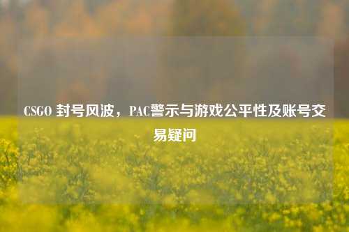 CSGO 封号风波，PAC警示与游戏公平性及账号交易疑问