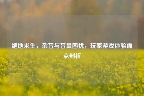 绝地求生，杂音与音量困扰，玩家游戏体验痛点剖析