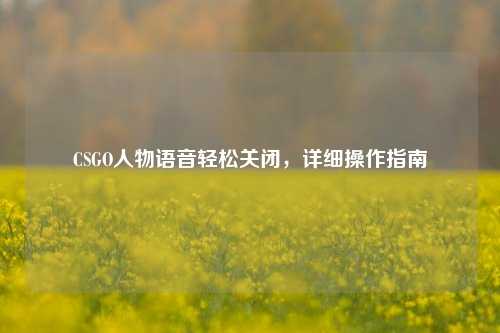 CSGO人物语音轻松关闭,详细操作指南