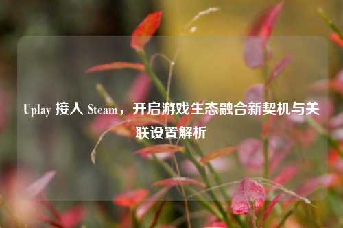 Uplay 接入 Steam，开启游戏生态融合新契机与关联设置解析