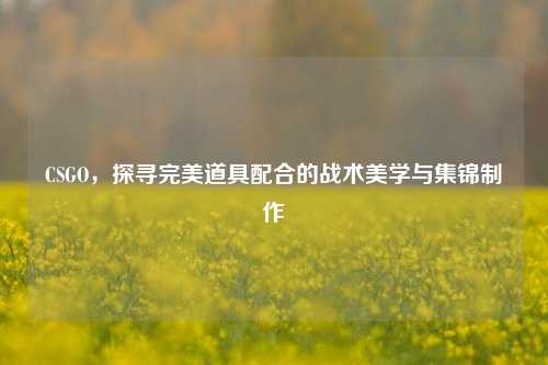 CSGO，探寻完美道具配合的战术美学与集锦制作