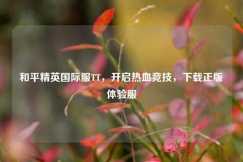 和平精英国际服TT,开启热血竞技,下载正版体验服