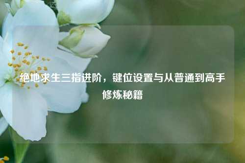 绝地求生三指进阶，键位设置与从普通到高手修炼秘籍