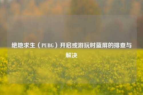 绝地求生（PUBG）开启或游玩时蓝屏的排查与解决