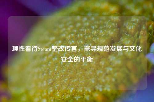 理性看待Steam整改传言,探寻规范发展与文化安全的平衡