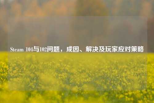 Steam 104与102问题,成因、解决及玩家应对策略