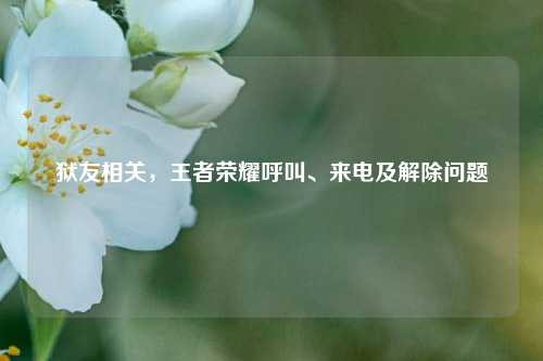 狱友相关,王者荣耀呼叫、来电及解除问题