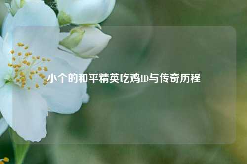 小个的和平精英吃鸡ID与传奇历程