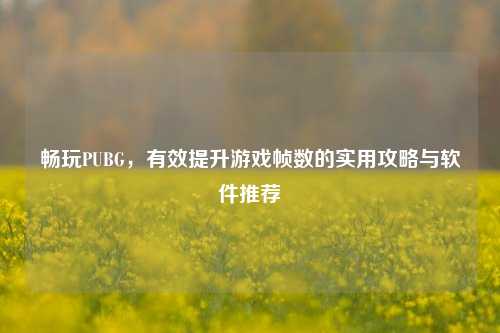 畅玩PUBG,有效提升游戏帧数的实用攻略与软件推荐