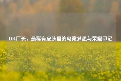 LOL厂长，最稀有皮肤里的电竞梦想与荣耀印记