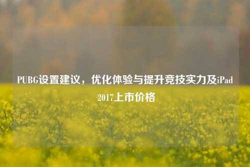 PUBG设置建议，优化体验与提升竞技实力及iPad 2017上市价格