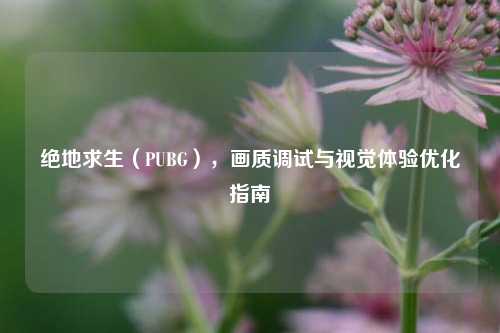 绝地求生(PUBG),画质调试与视觉体验优化指南