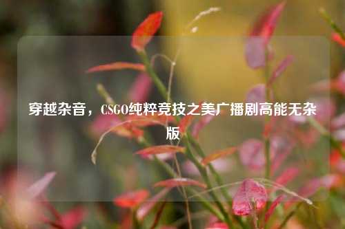 穿越杂音，CSGO纯粹竞技之美广播剧高能无杂版