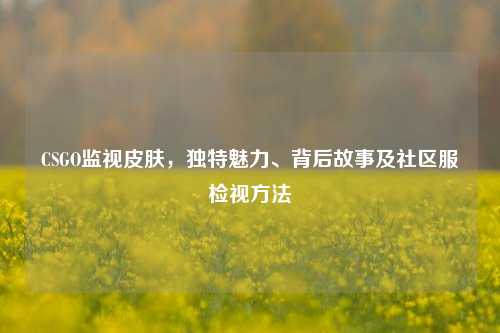 CSGO监视皮肤,独特魅力、背后故事及社区服检视方法