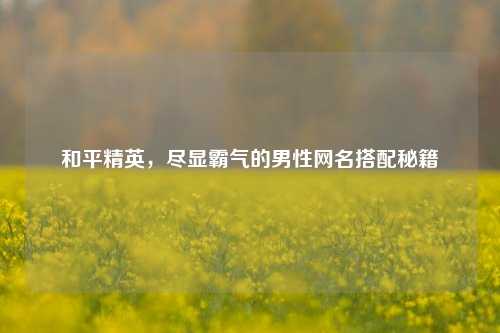 和平精英，尽显霸气的男性网名搭配秘籍