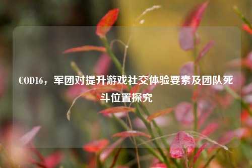 COD16，军团对提升游戏社交体验要素及团队死斗位置探究