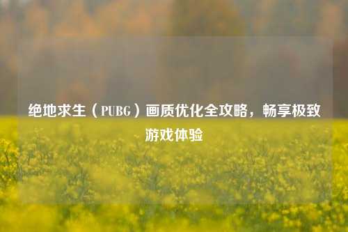 绝地求生（PUBG）画质优化全攻略，畅享极致游戏体验