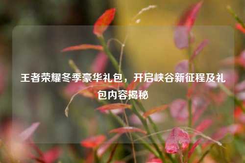 王者荣耀冬季豪华礼包，开启峡谷新征程及礼包内容揭秘