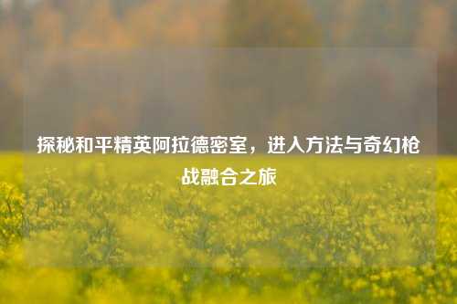 探秘和平精英阿拉德密室,进入方法与奇幻枪战融合之旅