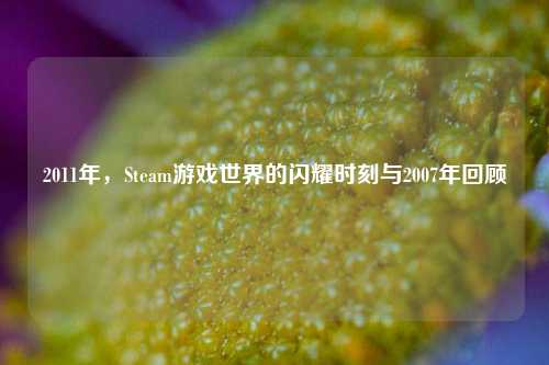 2011年，Steam游戏世界的闪耀时刻与2007年回顾