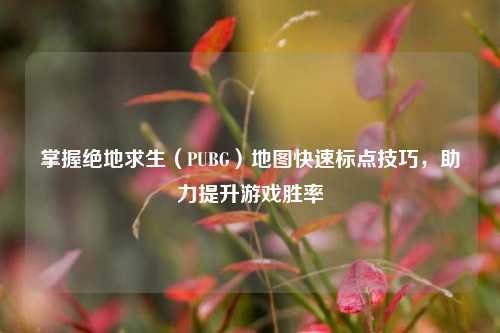 掌握绝地求生(PUBG)地图快速标点技巧,助力提升游戏胜率
