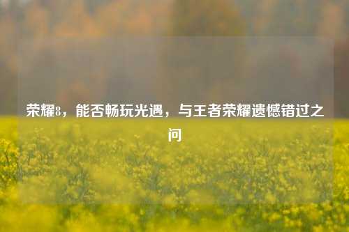 荣耀8，能否畅玩光遇，与王者荣耀遗憾错过之问
