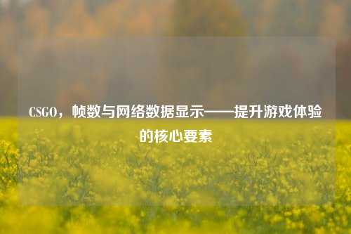 CSGO，帧数与网络数据显示——提升游戏体验的核心要素