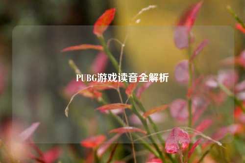 PUBG游戏读音全解析