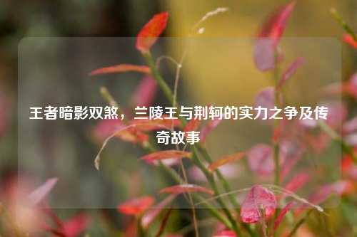王者暗影双煞，兰陵王与荆轲的实力之争及传奇故事