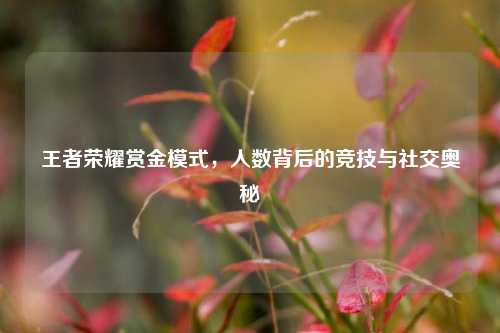王者荣耀赏金模式,人数背后的竞技与社交奥秘