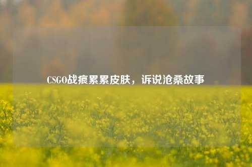 CSGO战痕累累皮肤，诉说沧桑故事