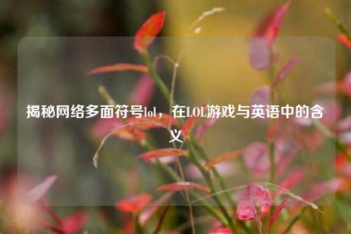 揭秘网络多面符号lol,在LOL游戏与英语中的含义