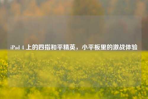 iPad 4 上的四指和平精英，小平板里的激战体验