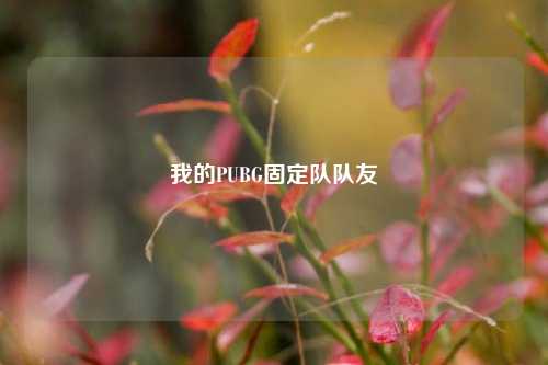 我的PUBG固定队队友