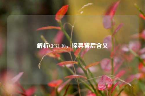 解析CF31 10，探寻背后含义