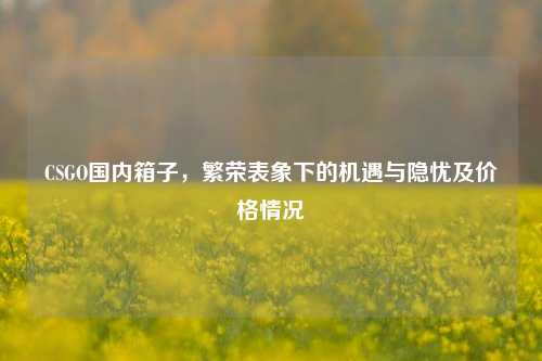 CSGO国内箱子,繁荣表象下的机遇与隐忧及价格情况