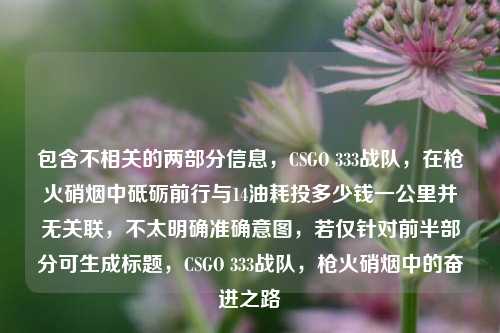 包含不相关的两部分信息，CSGO 333战队，在枪火硝烟中砥砺前行与14油耗投多少钱一公里并无关联，不太明确准确意图，若仅针对前半部分可生成标题，CSGO 333战队，枪火硝烟中的奋进之路