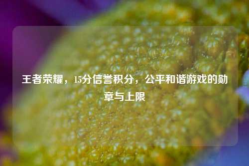 王者荣耀，15分信誉积分，公平和谐游戏的勋章与上限