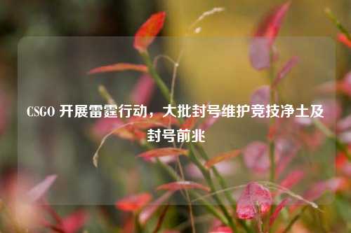 CSGO 开展雷霆行动，大批封号维护竞技净土及封号前兆