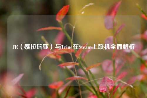 TR(泰拉瑞亚)与Trine在Steam上联机全面解析