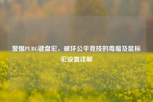 警惕PUBG键盘宏，破坏公平竞技的毒瘤及鼠标宏设置详解
