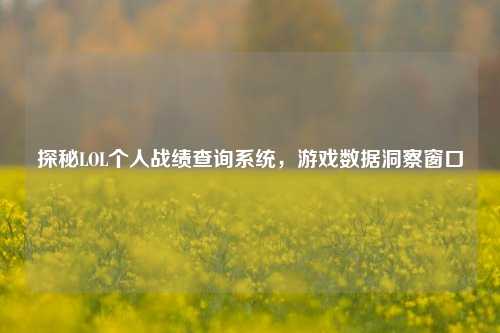 探秘LOL个人战绩查询系统，游戏数据洞察窗口